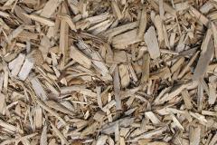 biomass boilers Coatdyke