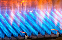 Coatdyke gas fired boilers